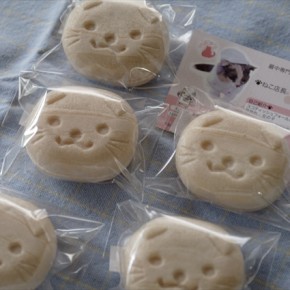 スコティッシュもなかちゃん