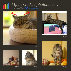 IGのフィルターが鋭く性格を指摘してくる