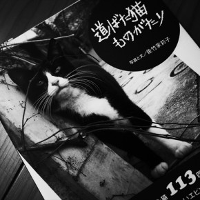 道ばた猫ものがたり 佐竹茉莉子