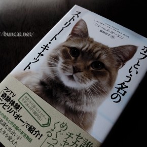 ボブという名のストリート・キャット