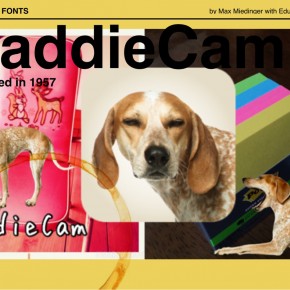 Maddie Cam わんこ乗っけ