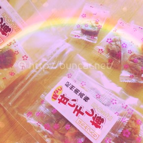 【国産】干し梅を買ってみた