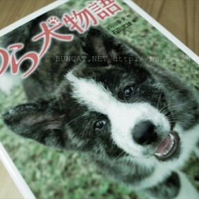 のら犬物語　戸川幸夫