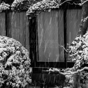 雪の描く白い軌跡を描写したい