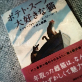 ポテト・スープが大好きな猫