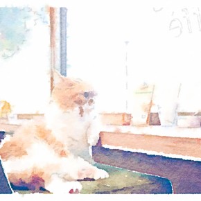 ふてネコカフェCMの彼の名は!