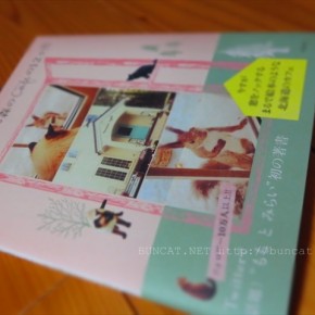 りすが遊びにやって来る森のCafeの12ヶ月