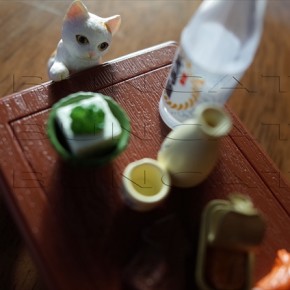 猫飼いあるある【リーメント編】