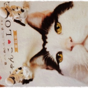 anan にゃんこ♥LOVE 新装版