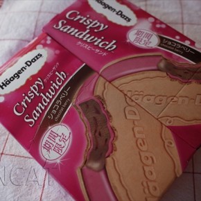 Haagen-Dazs chocolat berry