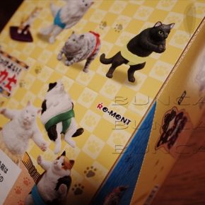 リーメント ねこ力士