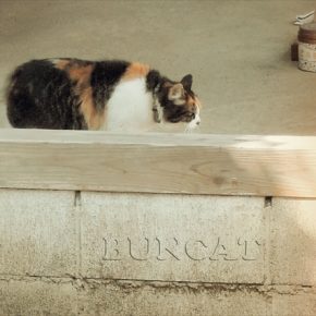 このくらいにしといたるわ的な
