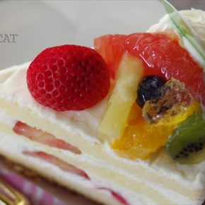 猫とケーキしか撮らない 2016夏