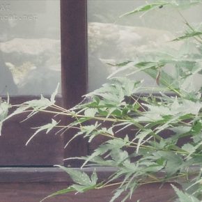 てふてふ