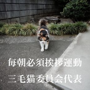 平成明朝体と特撮の親和性