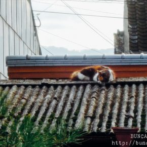 寝心地についてどうなのか