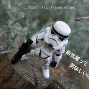 プチ断捨離した年末年始
