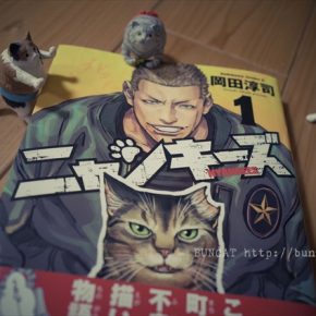 NYANKEESE (1) 岡田淳司