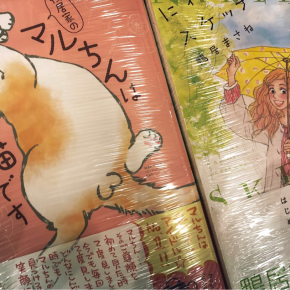 鴨居家のマルちんは猫です　鴨居まさね
