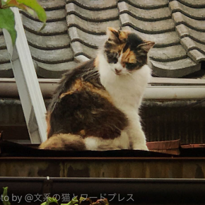 寝起きからのムービー