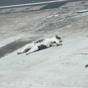 鷹揚な態度とは