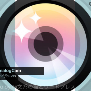 Light+ AnalogCam