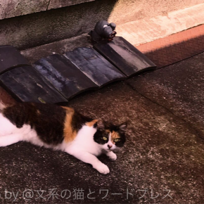 偶然のバタフライと目の記憶