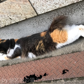 アキレス腱ストレッチ