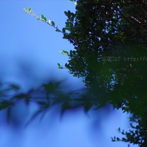 秋と夏を天と地で撮る
