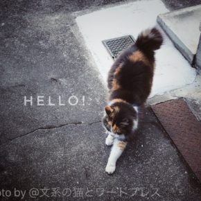 ヘッドスパしたり近況を