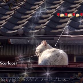 顔の傷は男の勲章