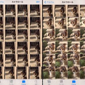 バースト写真をまとめ