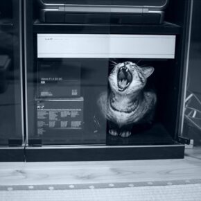 はみがきに時間をかける