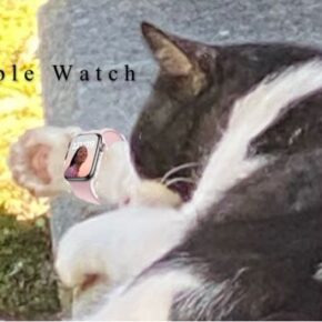 ねこの時計と心のうち