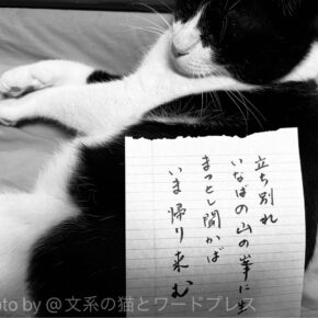 あけましたありがとう