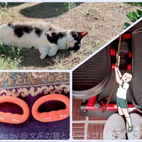 ヒアルロン酸注射と筋トレ
