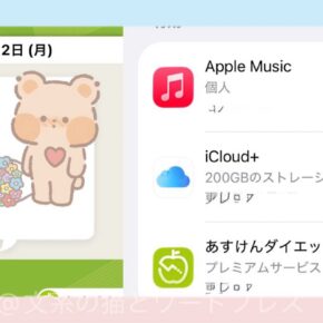 サブスクは少数精鋭